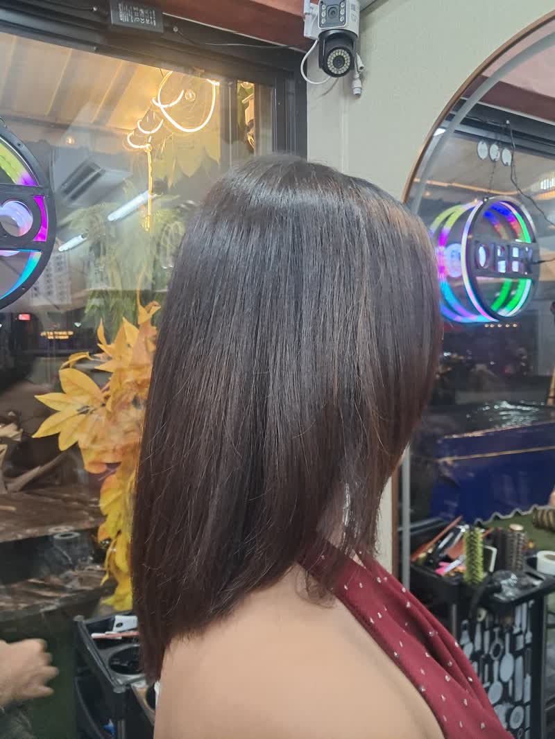 Straight dark brown shoulder-length bob, back view
