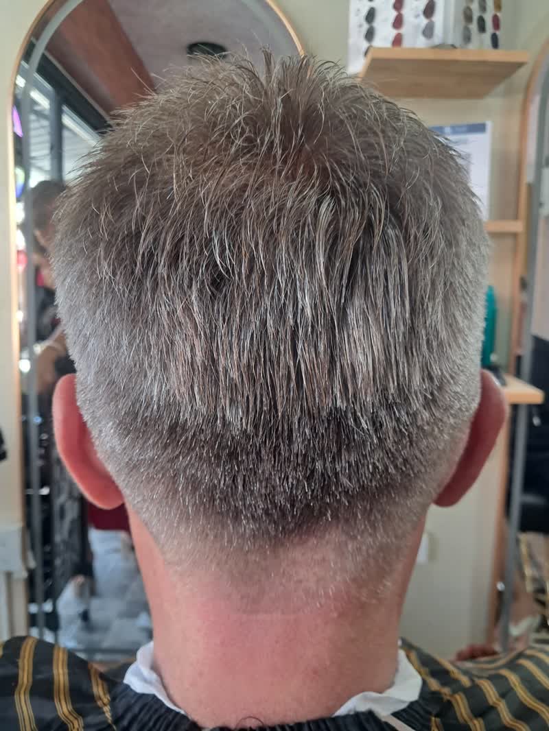 Back of a short clipper cut in grey-brown hair