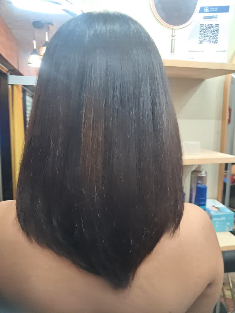 Sleek dark brown straight bob, back view