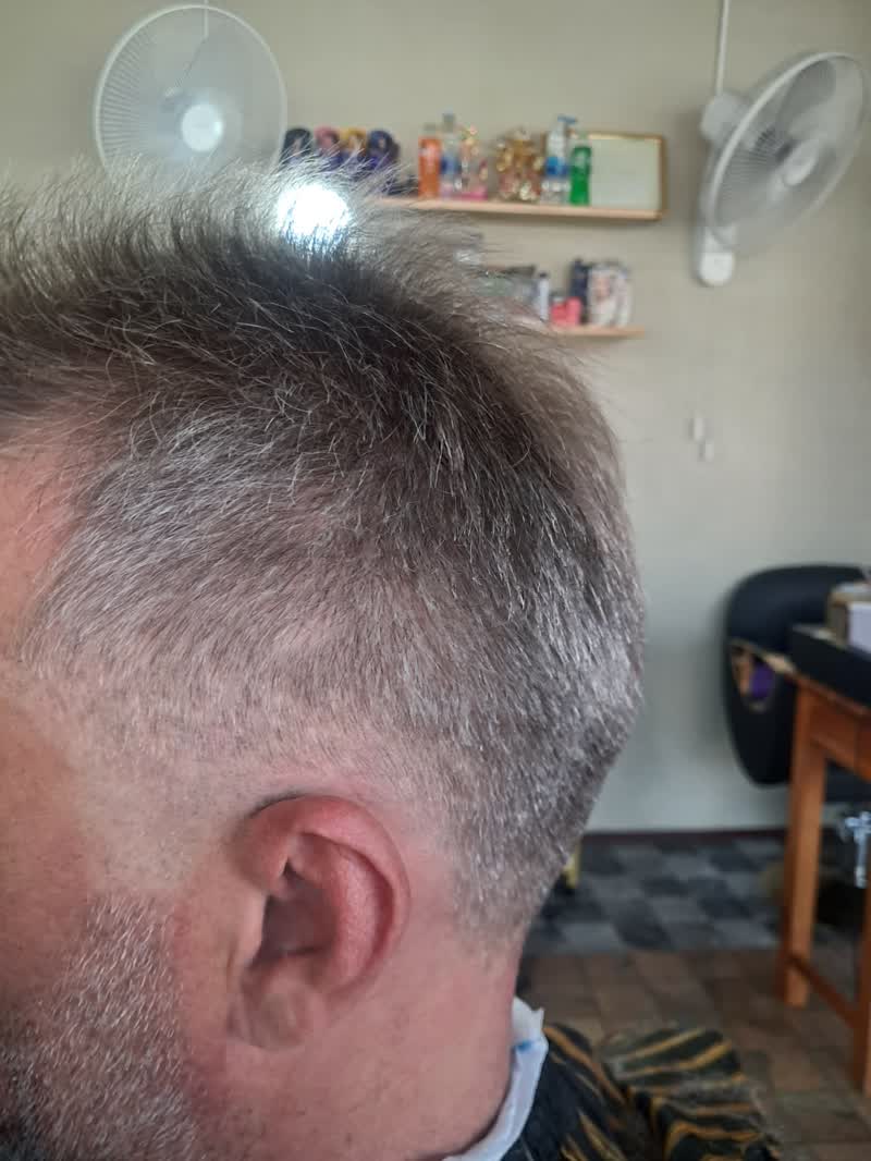 Side view of a short clipper cut on greying hair